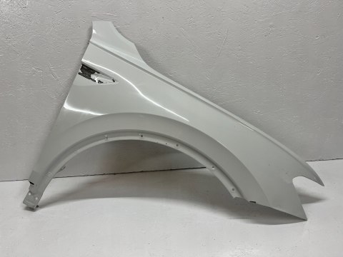 VW TIGUAN II 5N BŁOTNIK PRAWY PRZEDNI PRZÓD ORG WYS 24H FV VW TIGUAN II 5N BŁOTNIK PRAWY PRZEDNI PRZÓD ORG WYS 24H FV