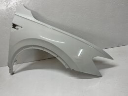 VW TIGUAN II 5N BŁOTNIK PRAWY PRZEDNI PRZÓD ORG WYS 24H FV