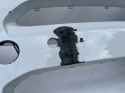 BMW X3 F25 LCI X4 F26 m paket Stoßstange stossstange vorne Original bg143