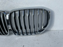 BMW X5 G05 kühlergrill nieren grill front Original