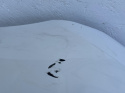 BMW 1er F20 LCI m paket stoßstange hinten rear bumper Original m2