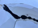 BMW 5er G30 G31 m paket Stoßstange vorne front bumper Original bg155