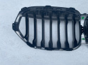 BMW X1 F48 F49 LCI kühlergrill Nieren ab Bj. 2019 - Original